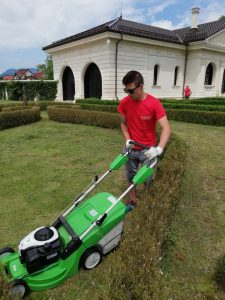 Peisagistica si intretinere spatii verzi 10 House Keeping