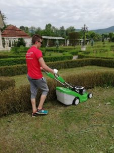 Peisagistica si intretinere spatii verzi 11 House Keeping