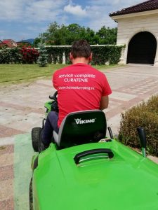 Peisagistica si intretinere spatii verzi 13 House Keeping