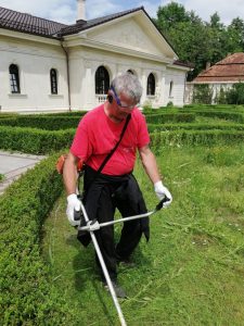 Peisagistica si intretinere spatii verzi 14 House Keeping