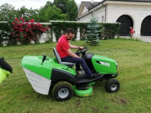 Peisagistica si intretinere spatii verzi 15 House Keeping