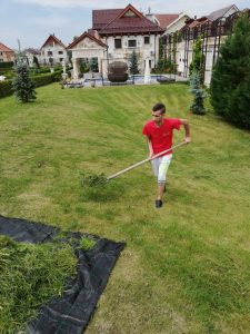 Peisagistica si intretinere spatii verzi 2 House Keeping