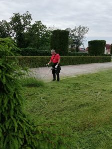 Peisagistica si intretinere spatii verzi 4 House Keeping