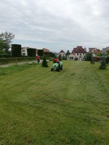 Peisagistica si intretinere spatii verzi 6 House Keeping