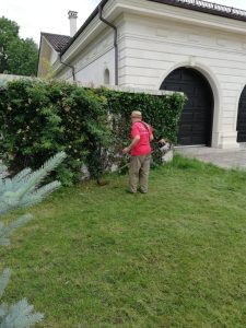 Peisagistica si intretinere spatii verzi 8 House Keeping