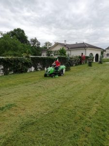 Peisagistica si intretinere spatii verzi 9 House Keeping